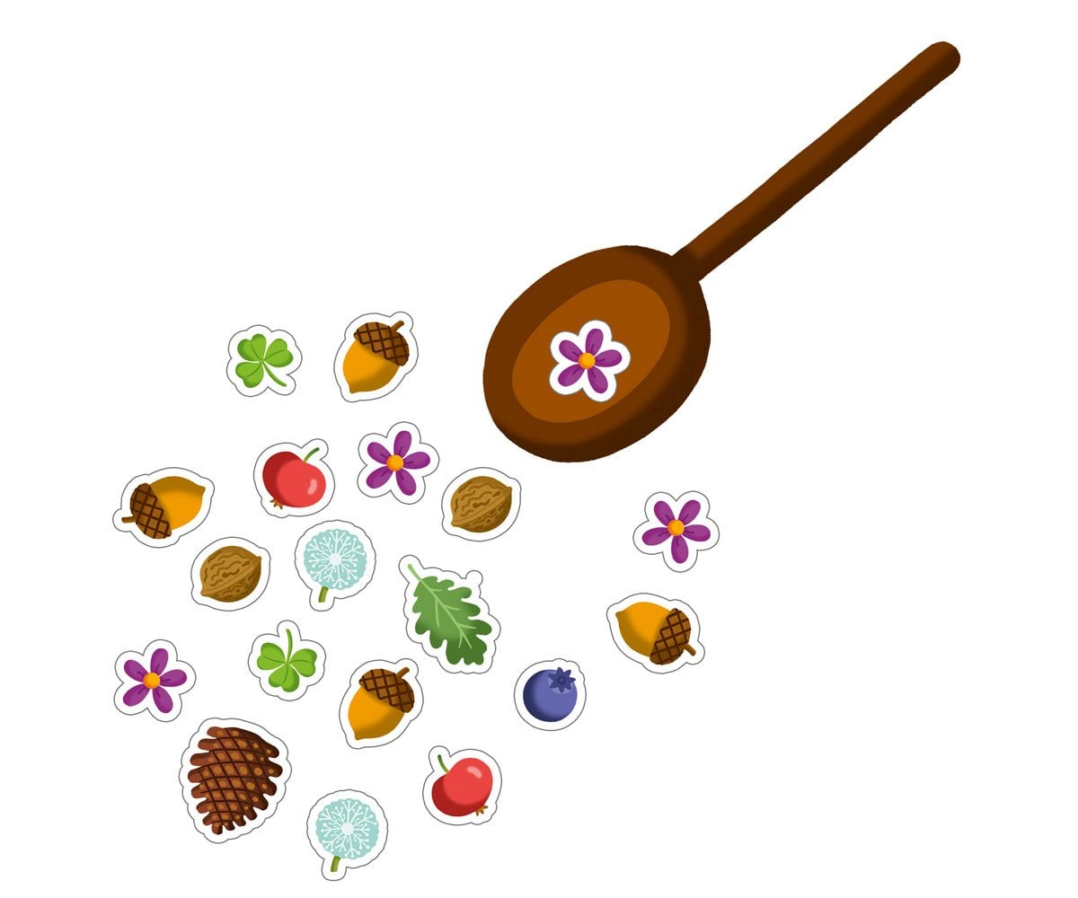 Sopa De Bellotas