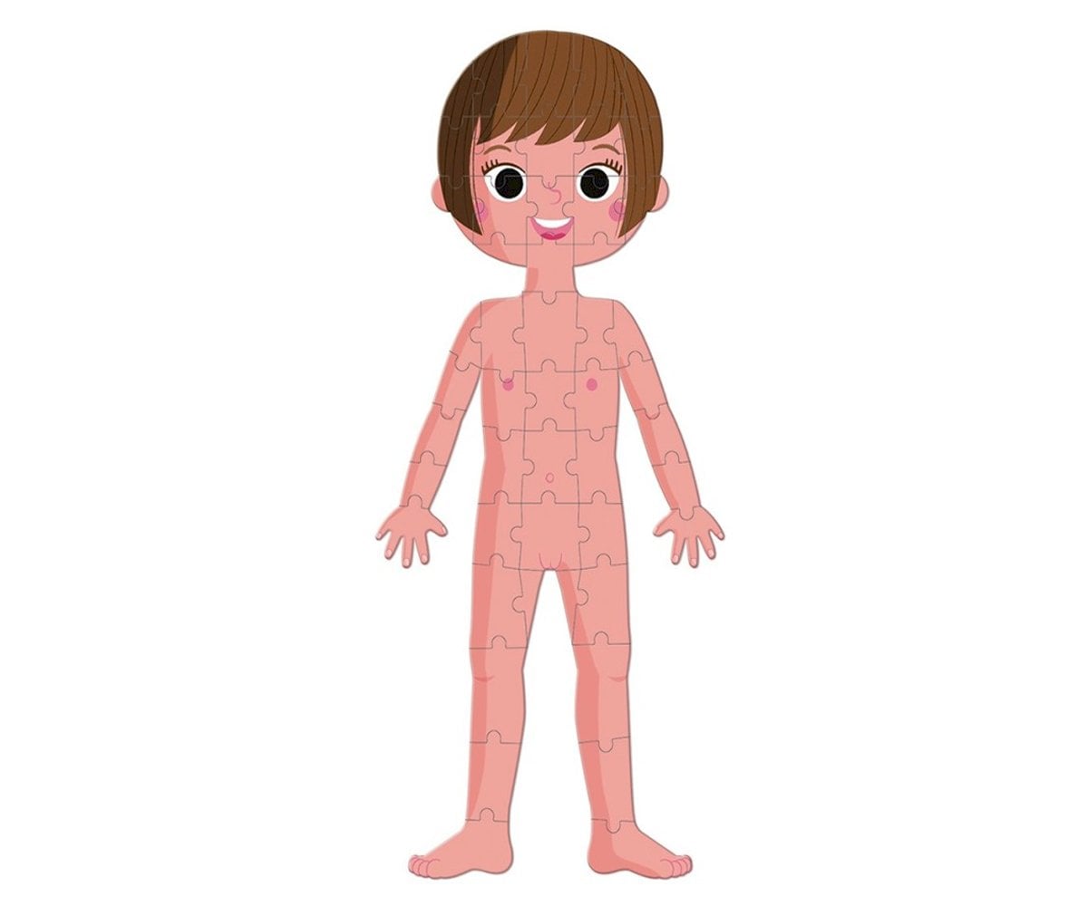 4 Puzzle Educativi Il Corpo Umano