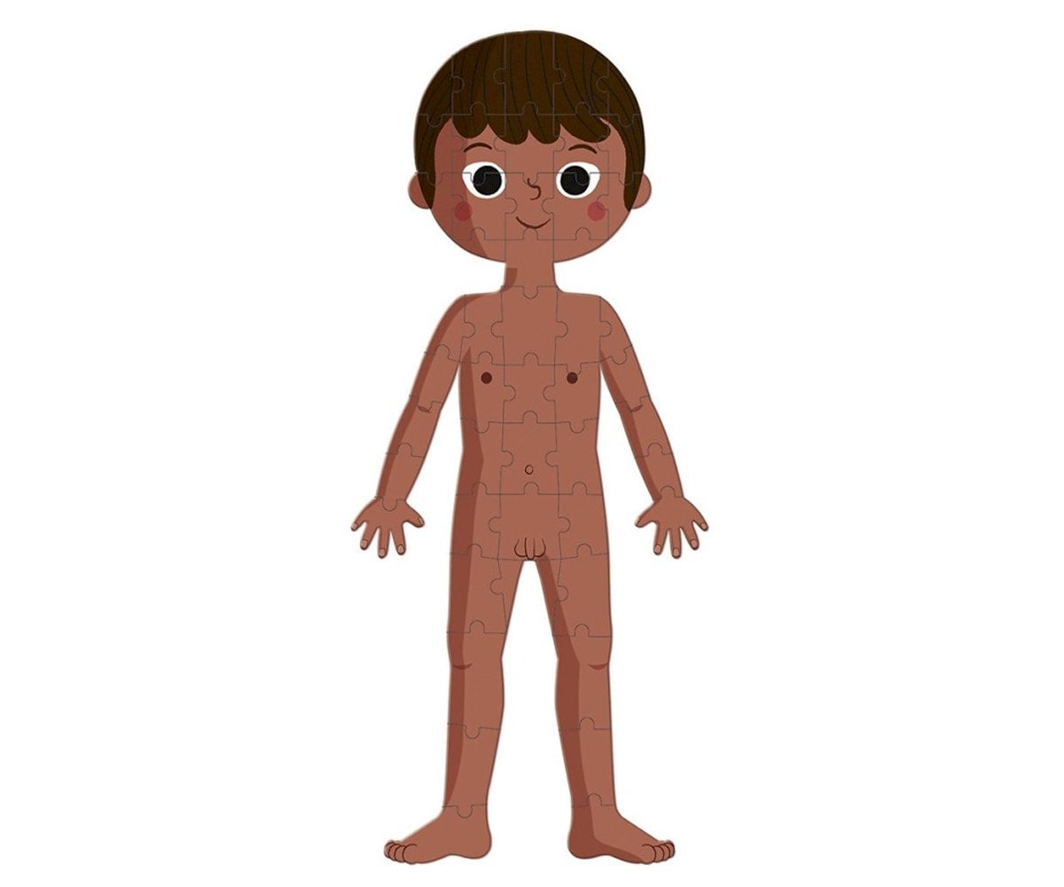4 Puzzle Educativi Il Corpo Umano