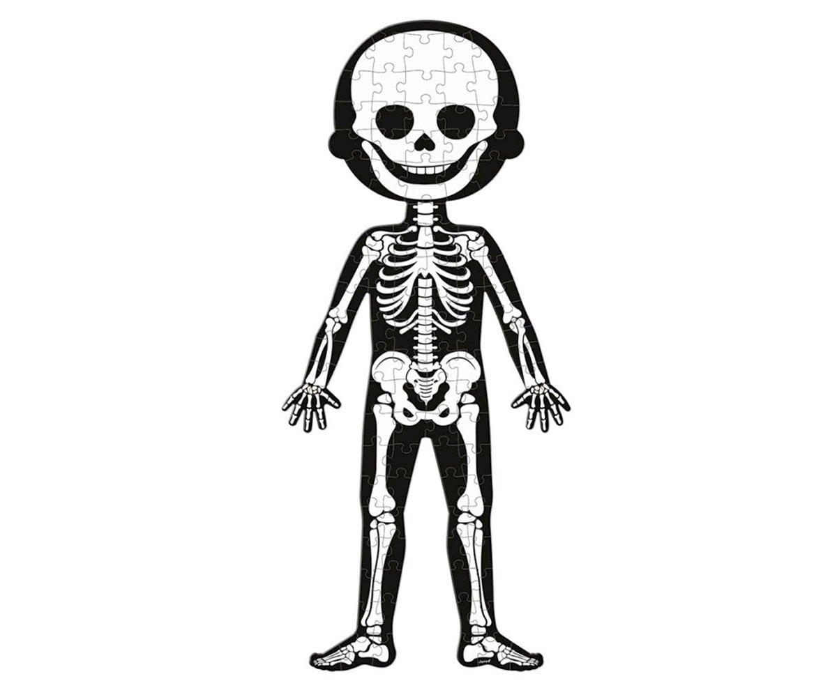 4 Puzzle Educativi Il Corpo Umano