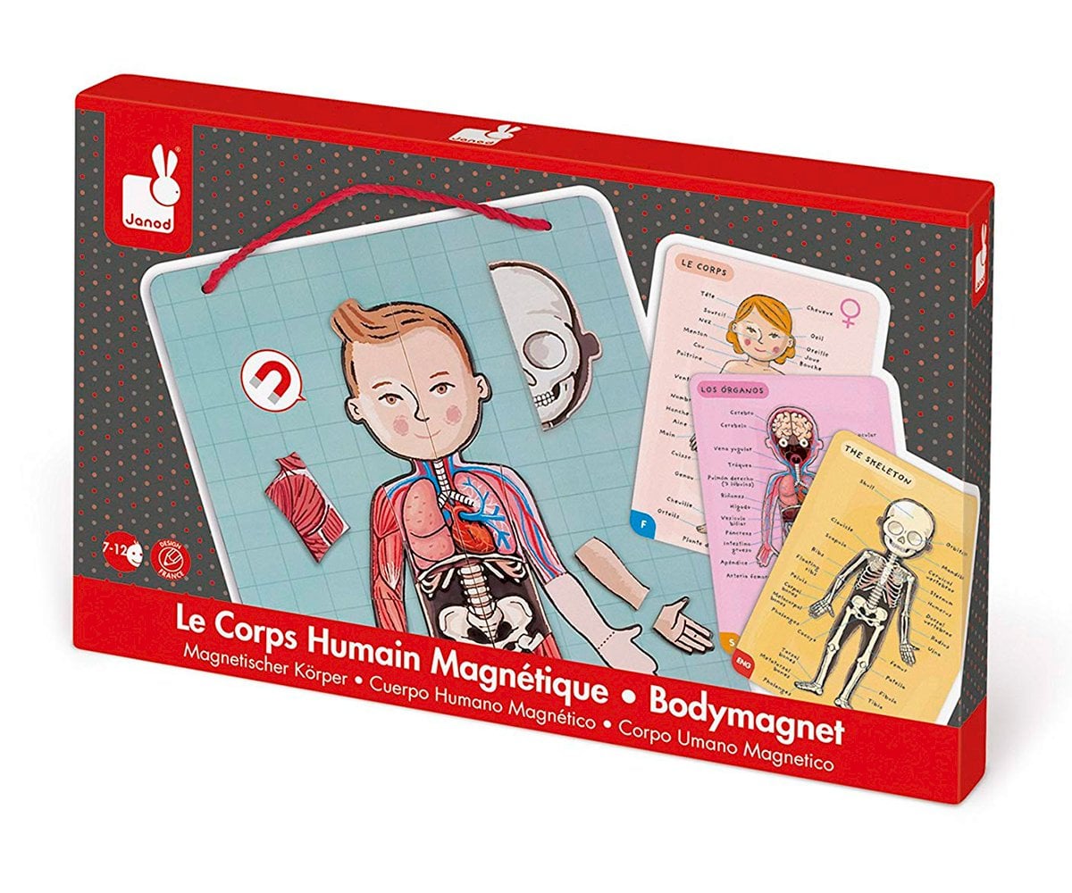 Magnetic Human Body Puzzle