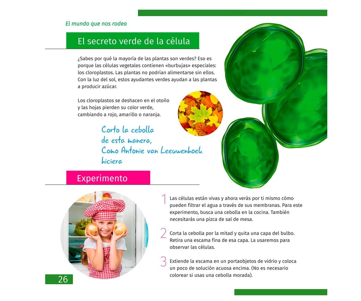 Livro Educacional O Mundo Invisível