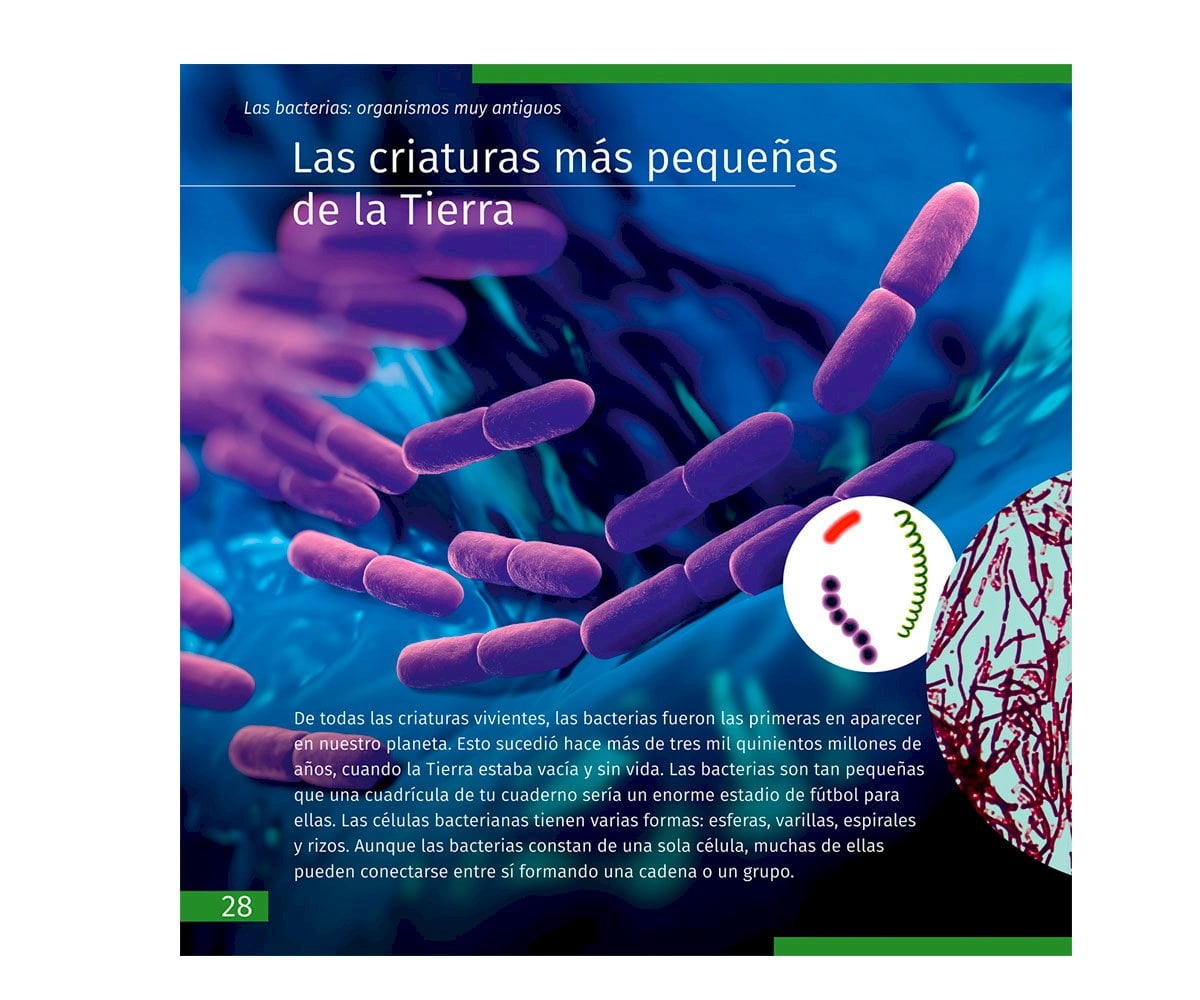 Livro Educacional O Mundo Invisível