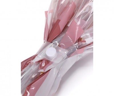 Transparent Umbrella Magical Unicorn