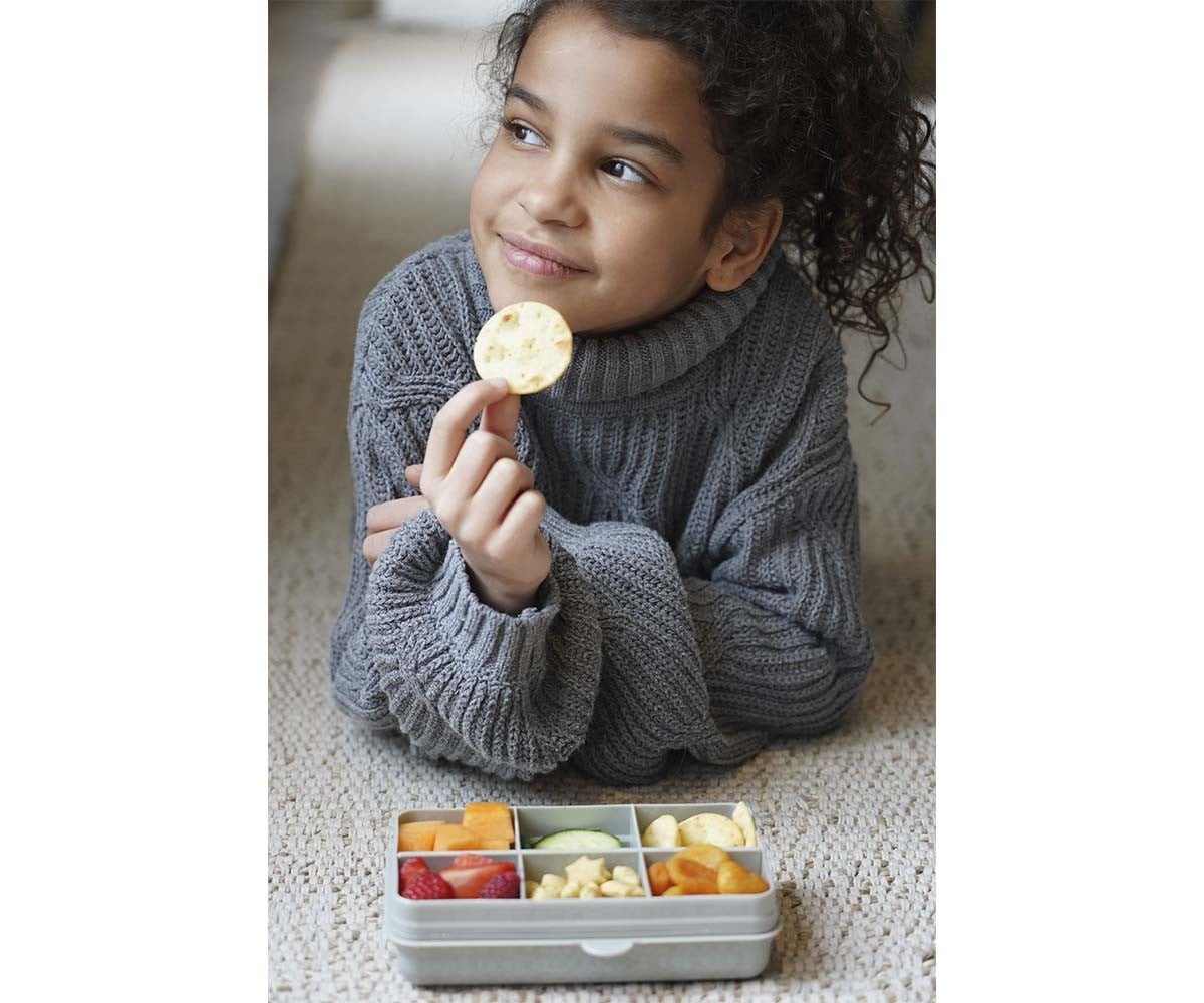 Snackle Box 6 compartimentos cinza