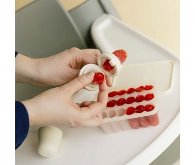 Plateau de Congélation pour Repas Bébés Baby Freezer