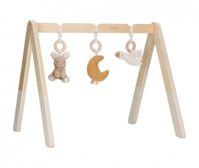 Baby Gym Newborn Naturals Little Dutch