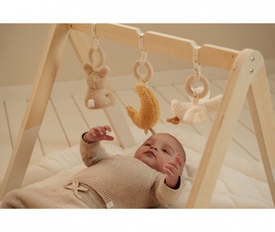 Baby Gym Newborn Naturals Little Dutch