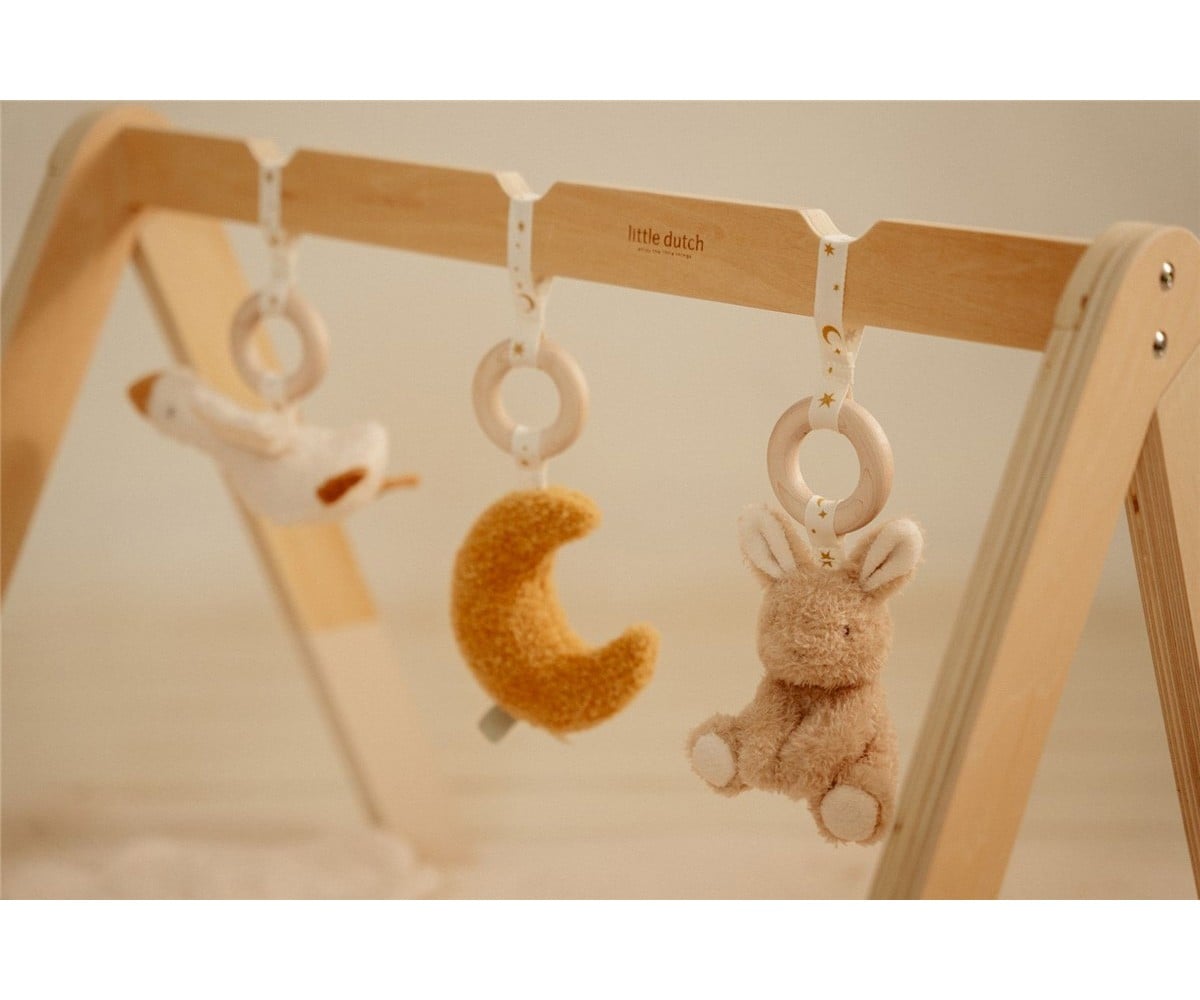 Baby Gym Newborn Naturals Little Dutch