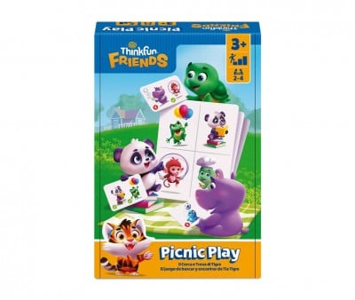 Picnic Play
