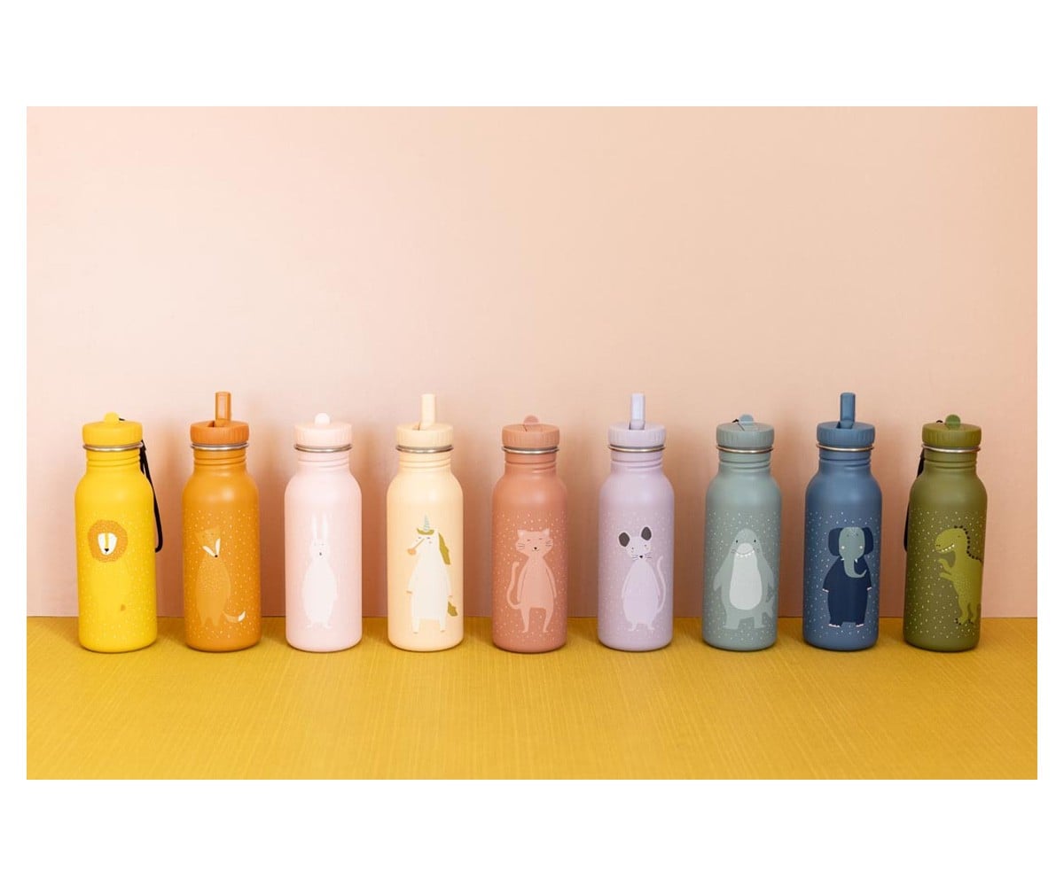Botella Acero Trixie Mr. Fox 500ml