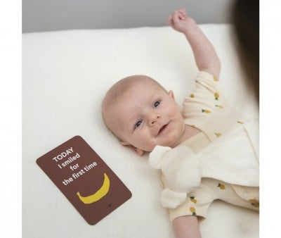 Milestone Cards Trixie Primi 12 Mesi