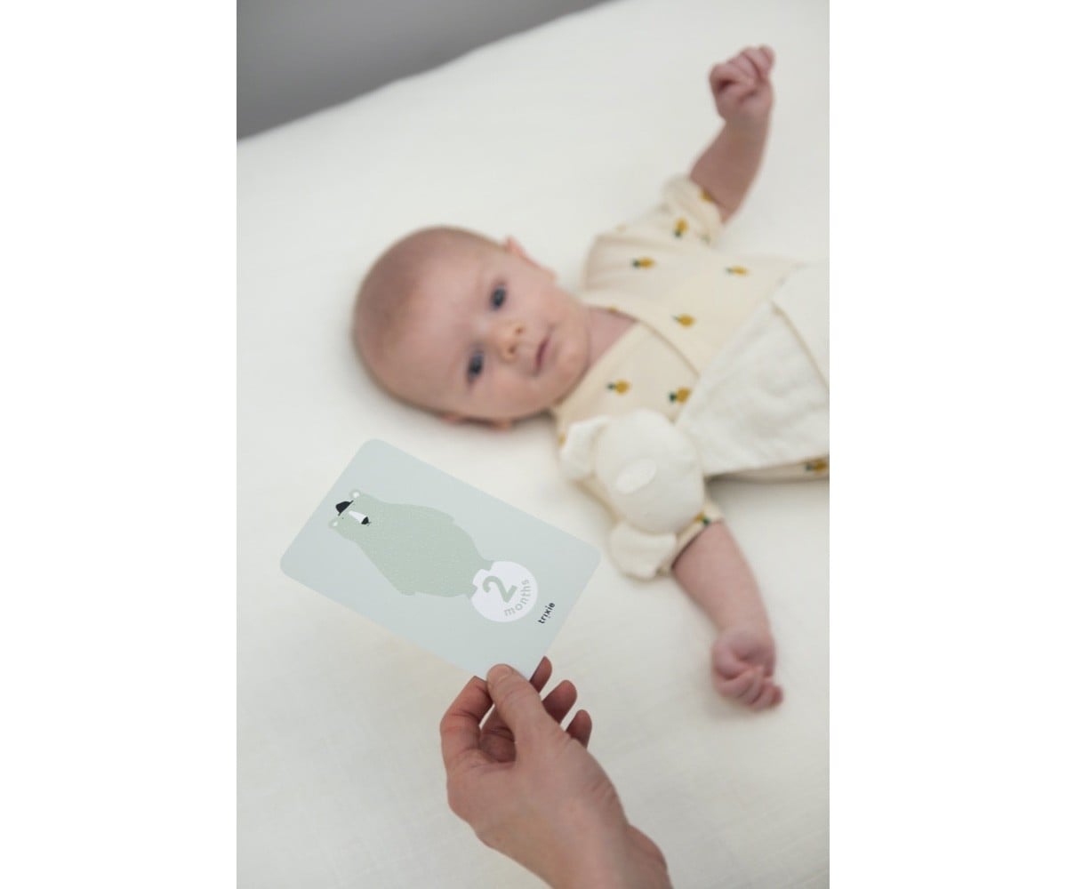 Milestone Cards Trixie Primi 12 Mesi