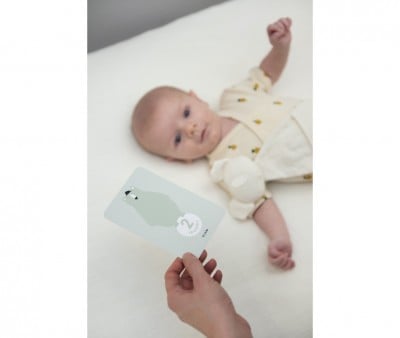 Milestone Cards Trixie Primi 12 Mesi