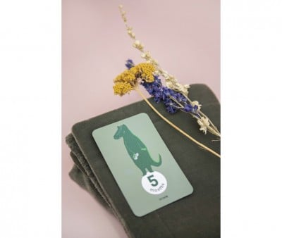 Milestone Cards Trixie Primi 12 Mesi