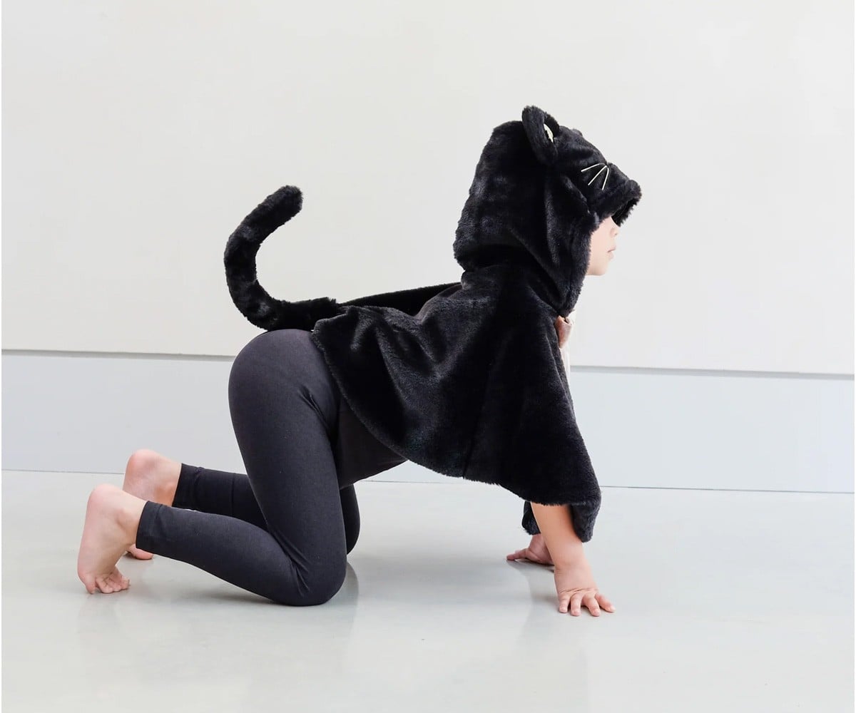 Black Cat Cape Costume