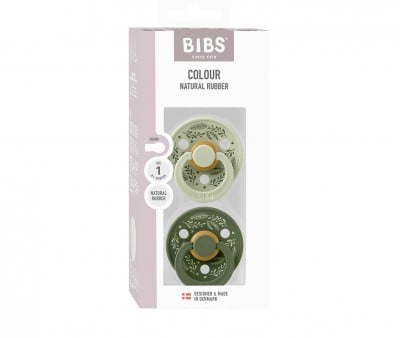 2 Sucettes BIBS Colour Round Holiday Leaf Sage/Hunter Green