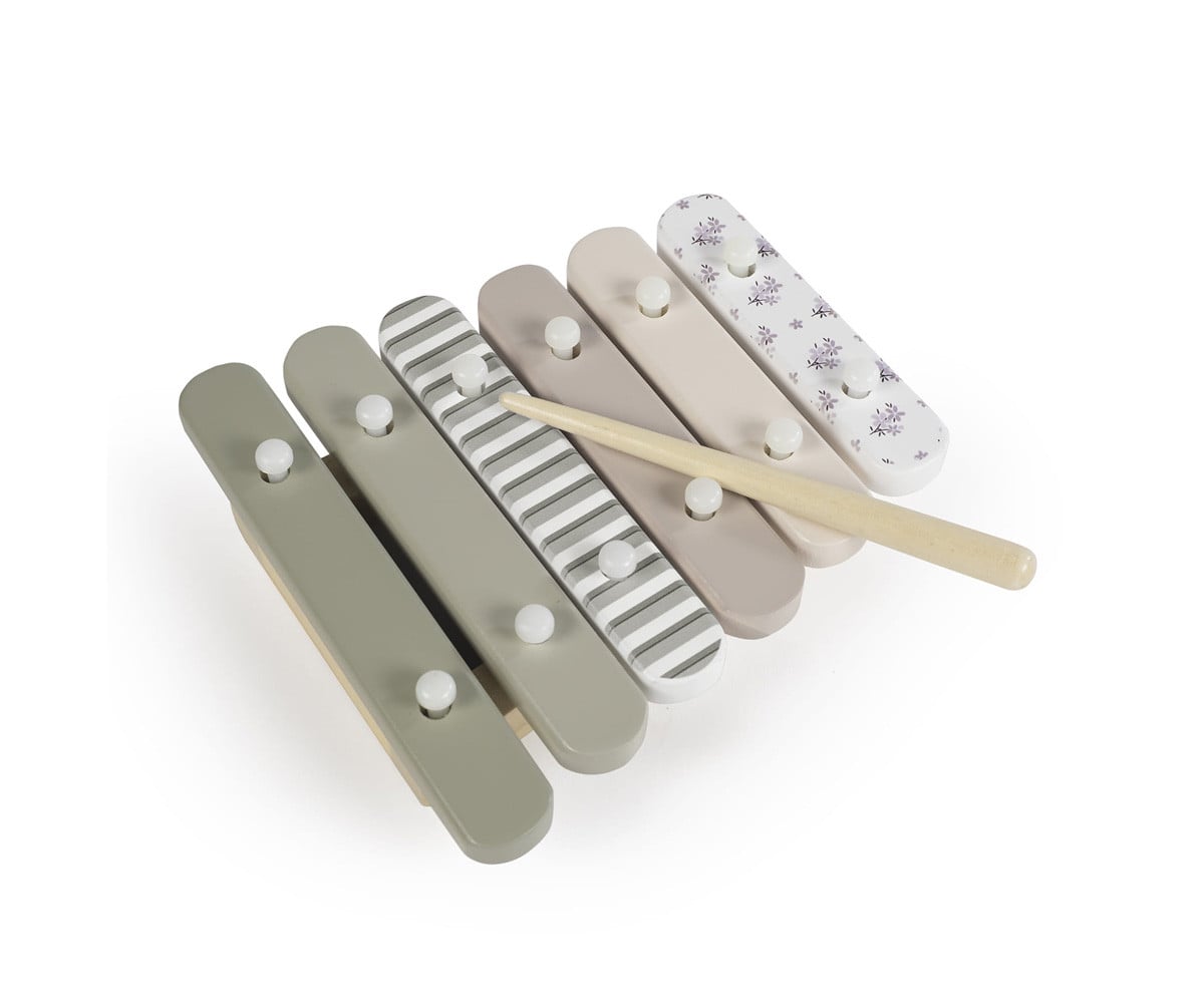 Set Instrumentos Musicales Madera Botton