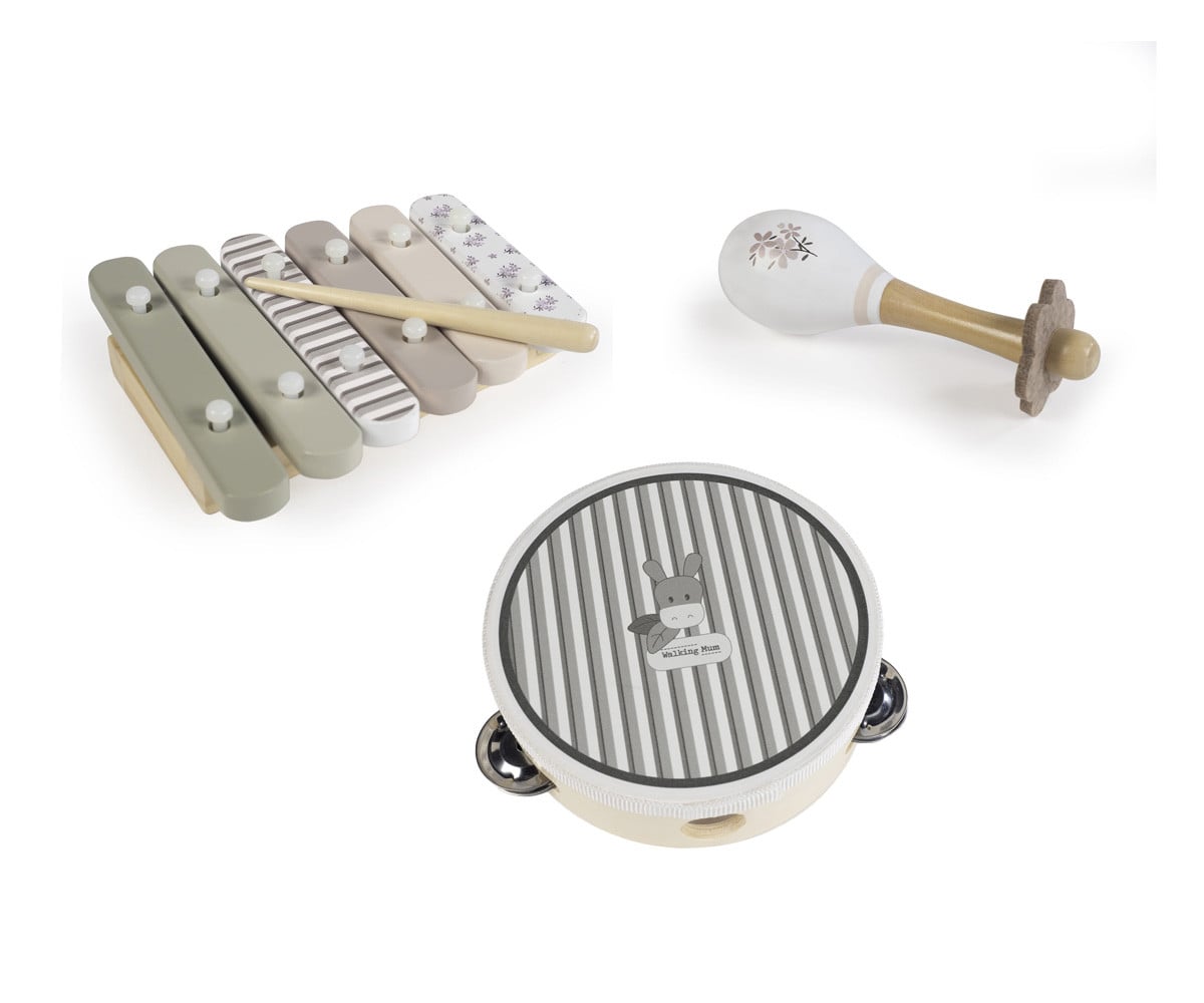 Set Instrumentos Musicales Madera Botton