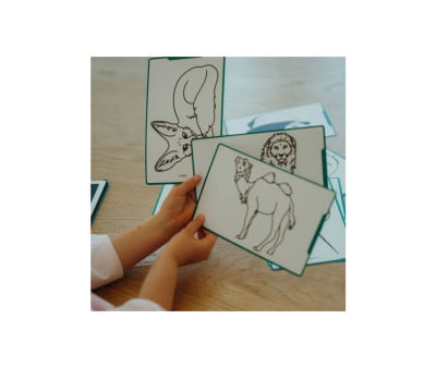 Kidydraw Mini Animais do Mundo