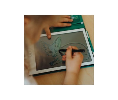 Kidydraw Mini Animais do Mundo