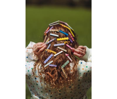 2 Barrettes Flying Dog