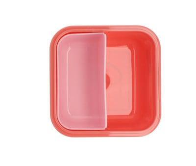Large Lunch Box Stripes Bloom & Blush