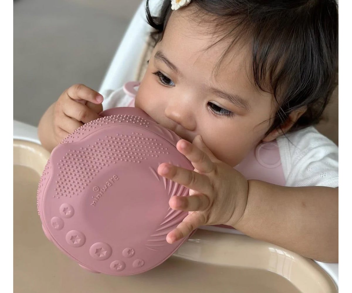 Bol en Silicone avec Couvercle et Ventouse Raspberry