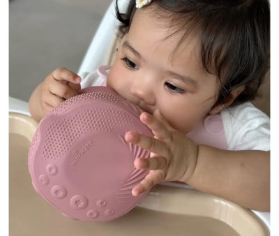 Bol en Silicone avec Couvercle et Ventouse Raspberry