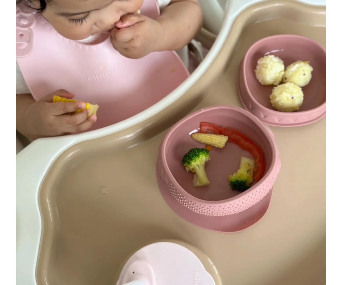 Bol en Silicone avec Couvercle et Ventouse Raspberry