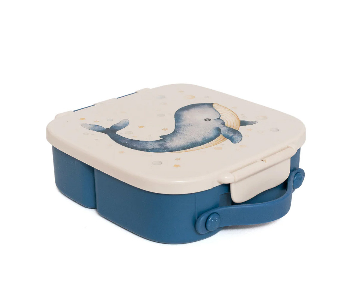 Lunch Box Whale