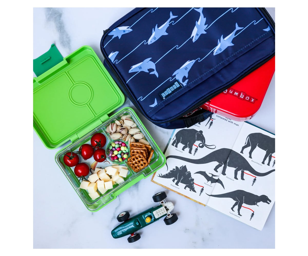Yumbox Snack Shark Green