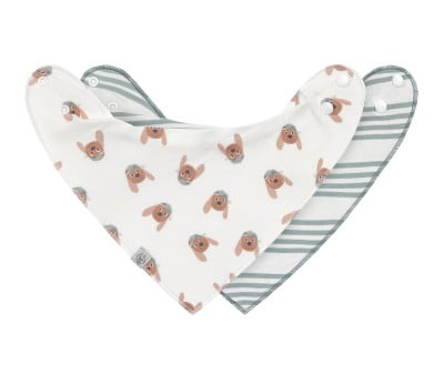 Pack de 2 Bavoirs Bandana Tiny Team Dog