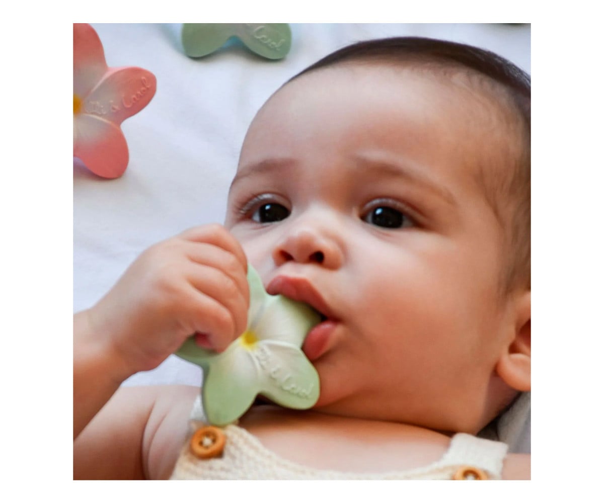 Newborn Gift Pack Rattle, Teether and Mini Teether