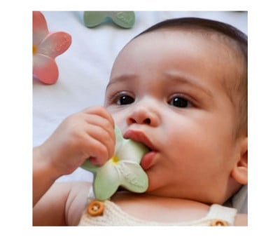 Newborn Gift Pack Rattle, Teether and Mini Teether