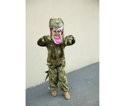 A Land Before Mine Deluxe Raptor Dinosaur Costume