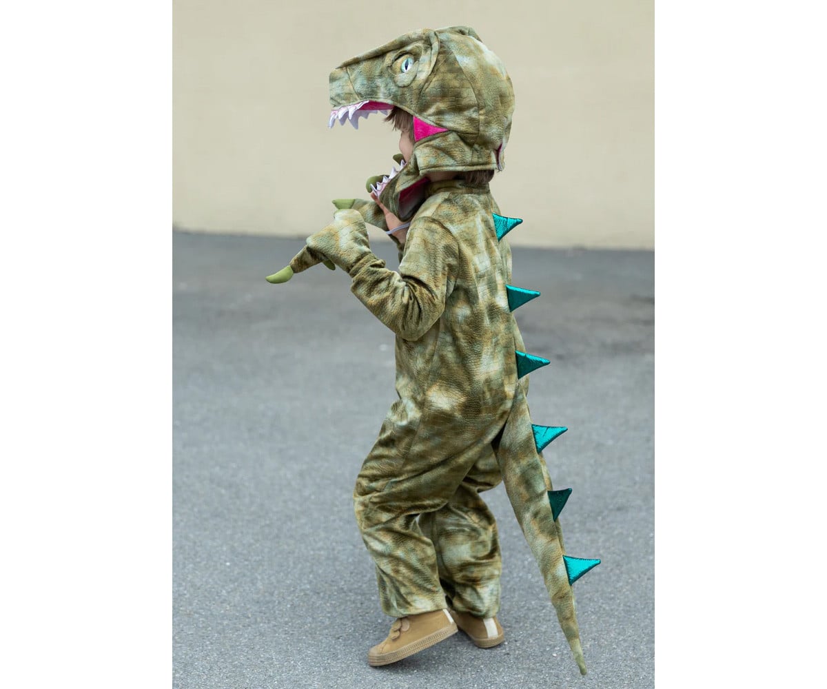 A Land Before Mine Deluxe Raptor Dinosaur Costume