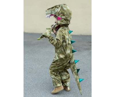 A Land Before Mine Deluxe Raptor Dinosaur Costume