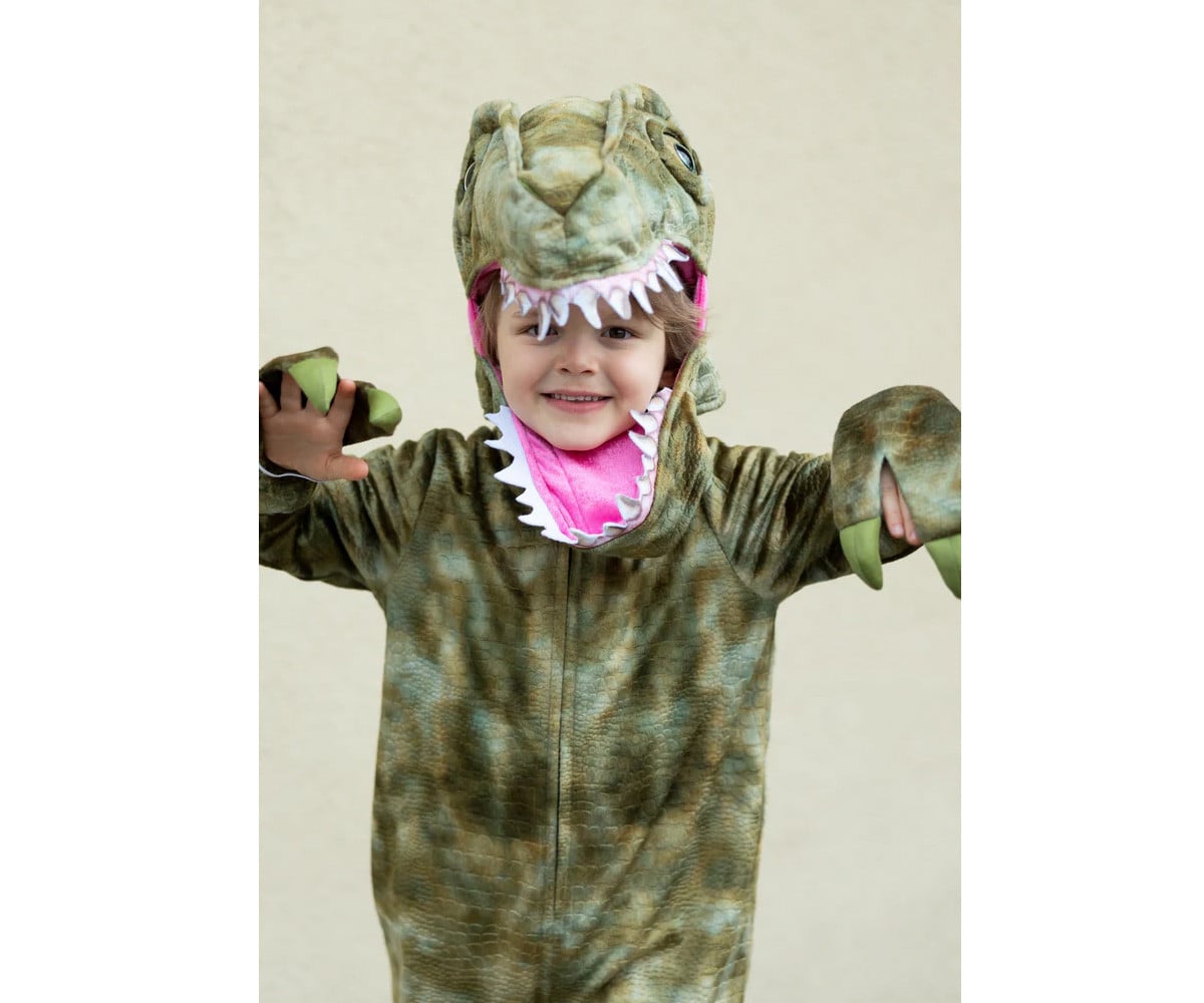 A Land Before Mine Deluxe Raptor Dinosaur Costume