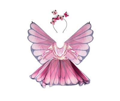 Disfraz Mariposa Alas y Diadema