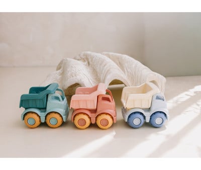 Conjunto de brinquedos de praia Wild Animals