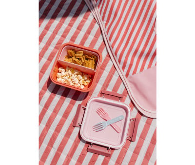 Large Lunch Box Stripes Bloom & Blush