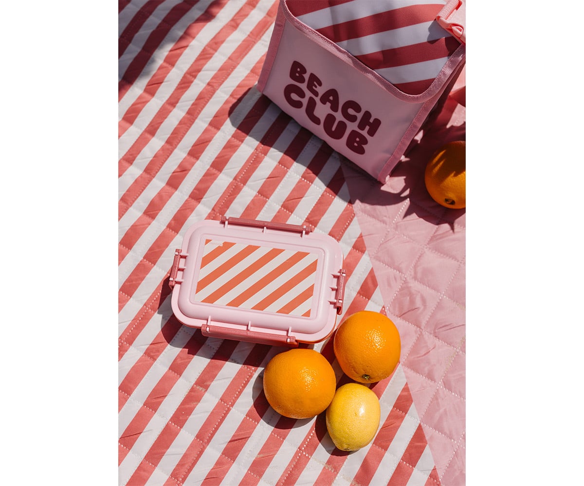 Bento Lunch Box Stripes Bloom & Blush
