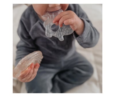 2 Cooling Teethers Nature Flight