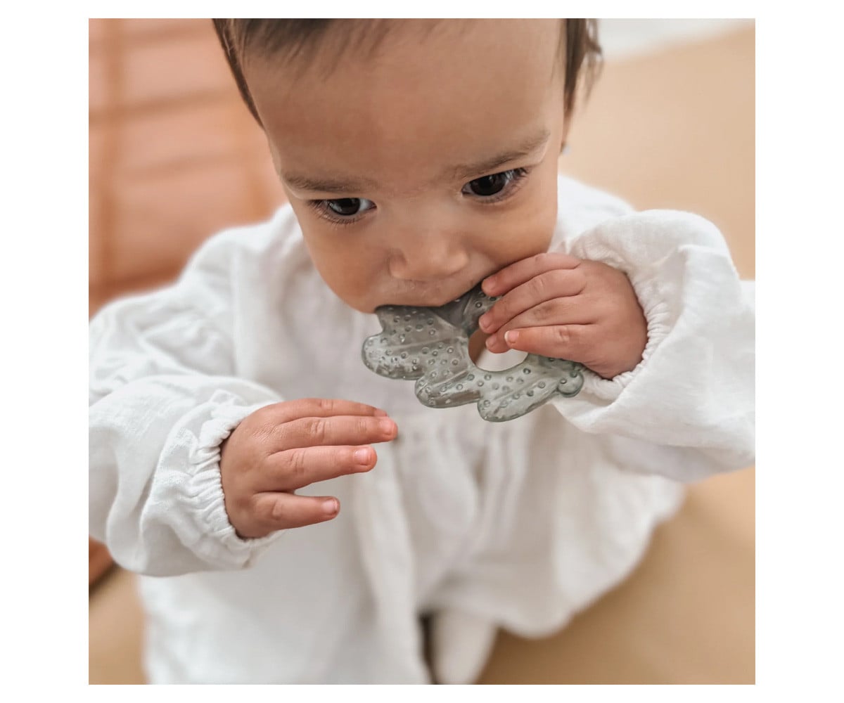 2 Cooling Teethers Nature Earth