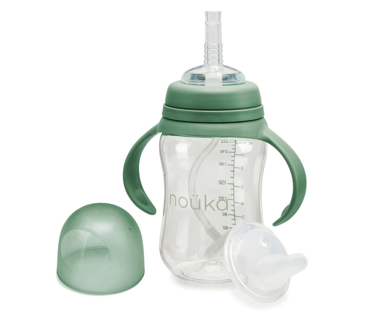 Gobelet de Transition avec Paille Flexible Lestée 240 ml Fern