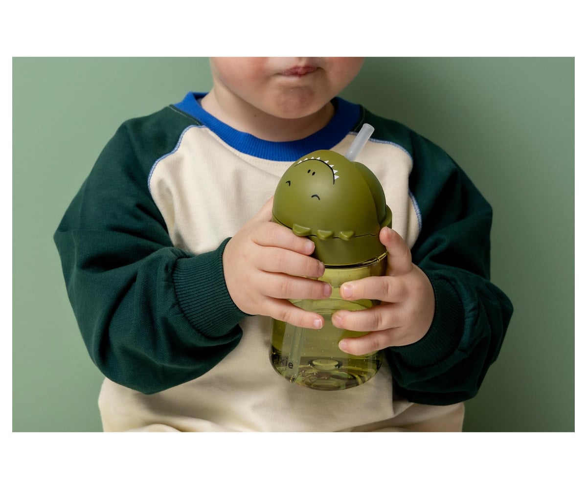 Straw Cup Mr. Dino
