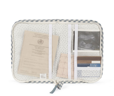 Document Holder Matcha Gingham Praliné