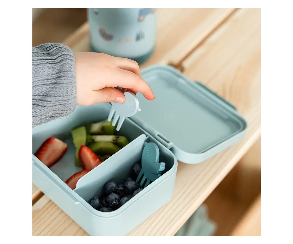 Small Lunch Box + 2 Mini Forks Tiny Trails Green