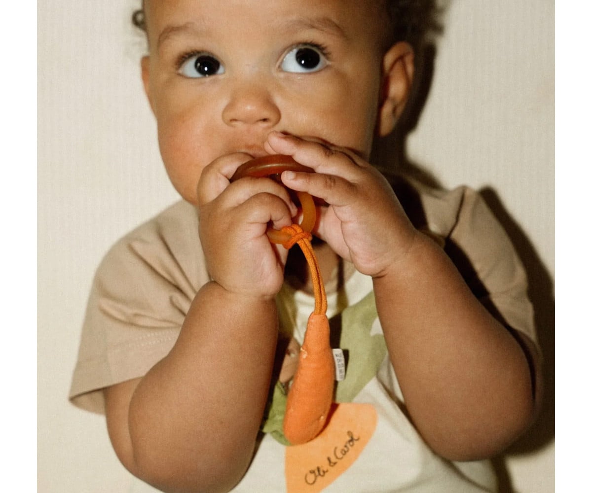 Pacifier Clip Cathy the Carrot
